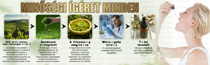 TOOYES® Metatrolide & Moringa GLP-1 Aktiváció, Almaecet, Kurkuma Gyógyhatású Szájoldat: Elhízás, Szív- és Érrendszeri Betegségek, Cukorbetegség, Alvási Apnoé, Ízületi Problémák és Még Több